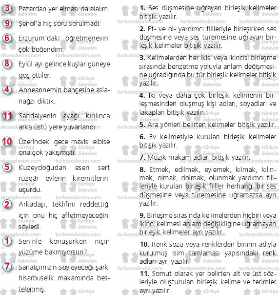 7 sınıf türkçe birleşik yazılan birleşik kelimeler morpakampus